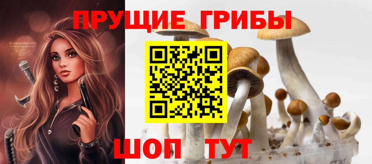 Псилоцибиновые грибы прущие грибы  Вход с VPN  Калининград 